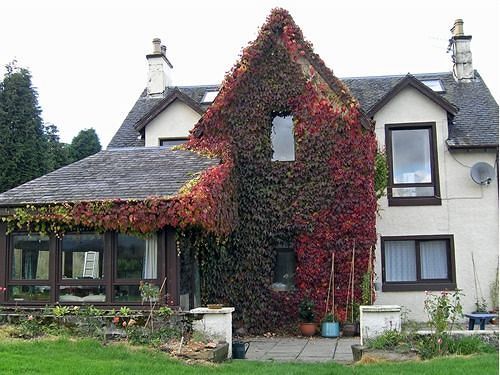 Achnabobane Farmhouse Spean Bridge Exteriör bild